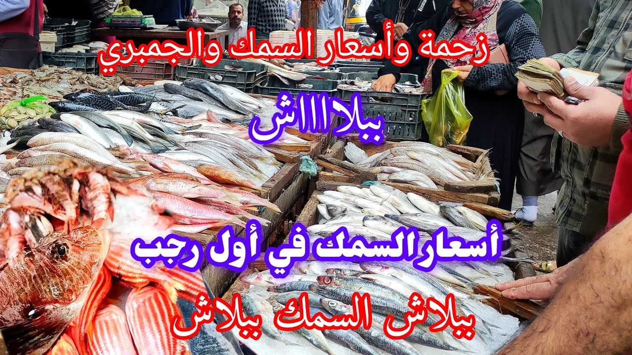 بعد موجة التذبذبات.. أسعار السمك اليوم للمستهلك الأحد 30 نوفمبر 2025 في سوق العبور والاسواق التجارية